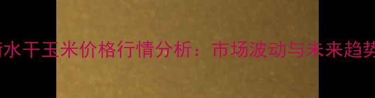图片 河北衡水干玉米价格行情分析：市场波动与未来趋势解读1