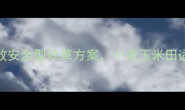 图片 河南玉轻盈除草剂：高效安全型除草方案，小麦玉米田适用技术（附使用指南）