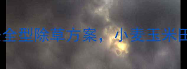 图片 河南玉轻盈除草剂：高效安全型除草方案，小麦玉米田适用技术（附使用指南）2