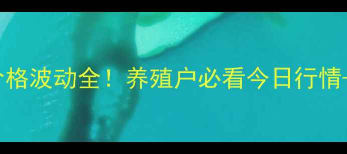 图片 河南鸡蛋价格波动全！养殖户必看今日行情+未来预测1