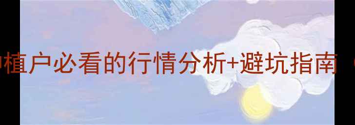 图片 油菜籽价格预测！种植户必看的行情分析+避坑指南（附种植技巧）🌾💰2