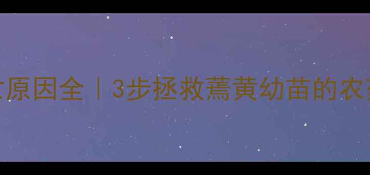 图片 油菜苗死亡原因全｜3步拯救蔫黄幼苗的农药选择指南