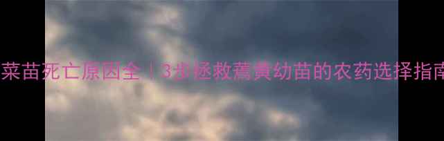 图片 油菜苗死亡原因全｜3步拯救蔫黄幼苗的农药选择指南1