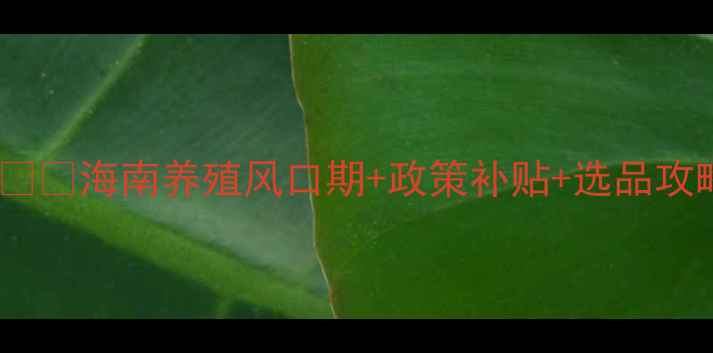 图片 海南猪饲料代理必看！🌴🐷海南养殖风口期+政策补贴+选品攻略（附最新合作政策）1