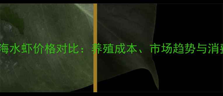 图片 淡水虾与海水虾价格对比：养殖成本、市场趋势与消费前景全1