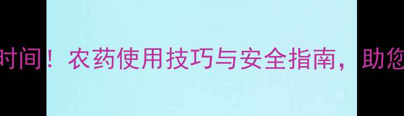 图片 清晨施药黄金时间！农药使用技巧与安全指南，助您高效守护农田