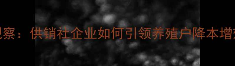 图片 湖南饲料行业深度观察：供销社企业如何引领养殖户降本增效？附最新采购指南