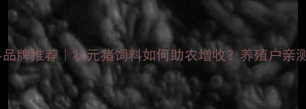 图片 爆款猪饲料品牌推荐｜状元猪饲料如何助农增收？养殖户亲测有效配方2