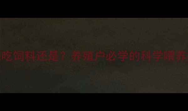 图片 猪吃东西先吃饲料还是？养殖户必学的科学喂养指南！🌾🐷