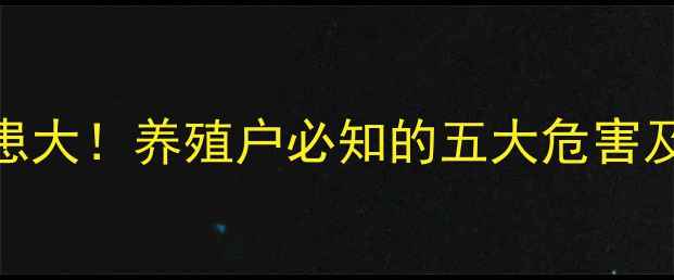 图片 猪饲料安全隐患大！养殖户必知的五大危害及科学替代方案