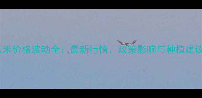 图片 玉米价格波动全：最新行情、政策影响与种植建议1