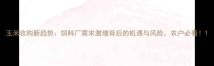 图片 玉米收购新趋势：饲料厂需求激增背后的机遇与风险，农户必看！1