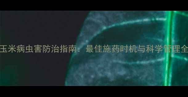 图片 玉米病虫害防治指南：最佳施药时机与科学管理全