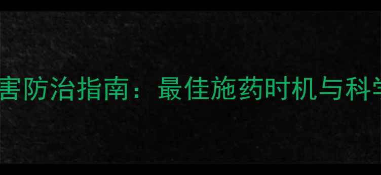 图片 玉米病虫害防治指南：最佳施药时机与科学管理全1