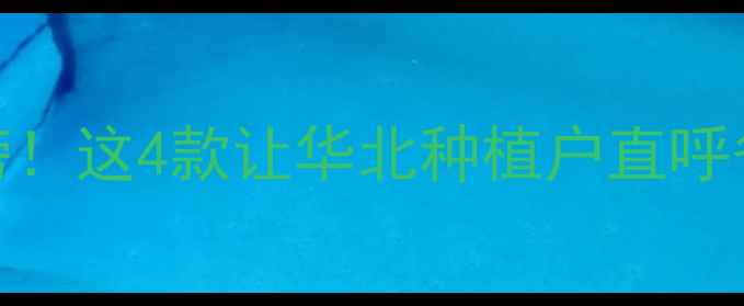 图片 玉米苗后除草剂红黑榜！这4款让华北种植户直呼省心，附使用避坑指南