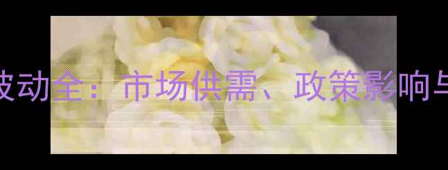 图片 玉米蛋白价格波动全：市场供需、政策影响与未来趋势预测