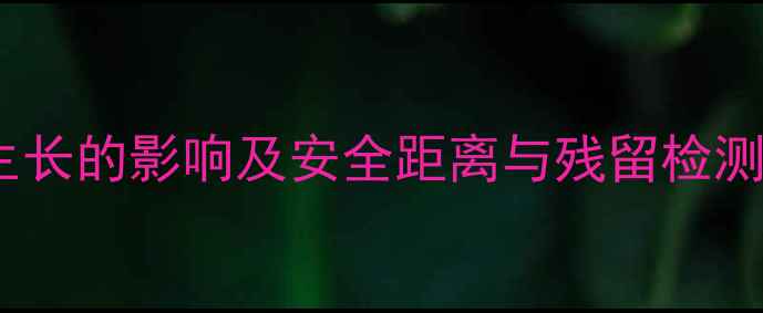 图片 玉米除草剂对生姜生长的影响及安全距离与残留检测方法（最新研究）2