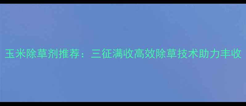 图片 玉米除草剂推荐：三征满收高效除草技术助力丰收