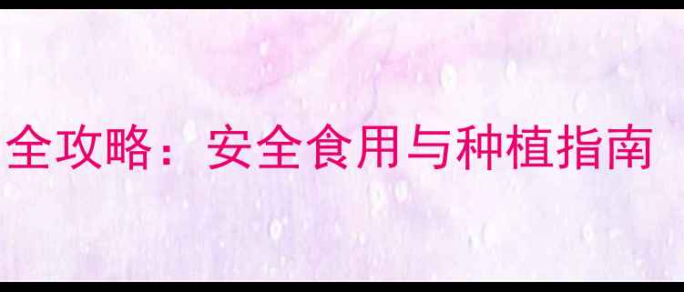图片 玫瑰花农药残留检测全攻略：安全食用与种植指南（附国家检测标准）2