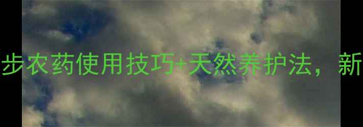 图片 甘蓝变绿全攻略！3步农药使用技巧+天然养护法，新手也能种出翡翠叶1