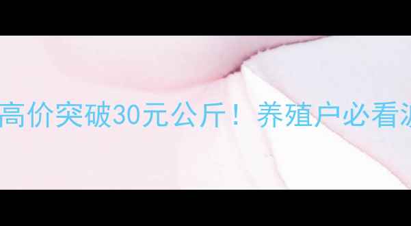 图片 生猪价格波动全｜最高价突破30元公斤！养殖户必看波动原因+应对策略🔥