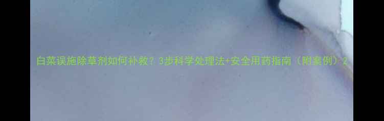 图片 白菜误施除草剂如何补救？3步科学处理法+安全用药指南（附案例）2