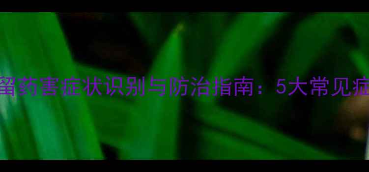 图片 白菜除草剂残留药害症状识别与防治指南：5大常见症状及解决方案