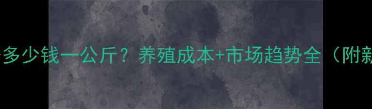 图片 石家庄鱼粉多少钱一公斤？养殖成本+市场趋势全（附新手指南）2