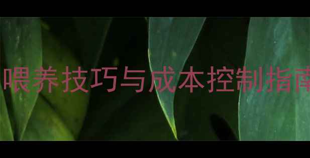 图片 科学养鸡饲料配方：每日喂养技巧与成本控制指南（附详细日粮配比表）1