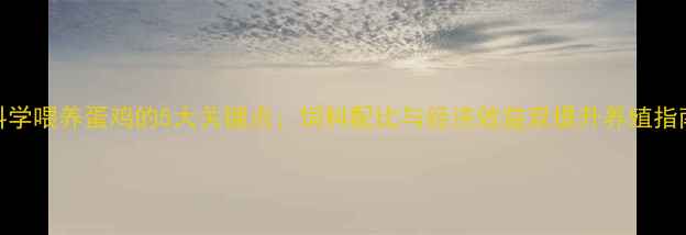 图片 科学喂养蛋鸡的5大关键点：饲料配比与经济效益双提升养殖指南