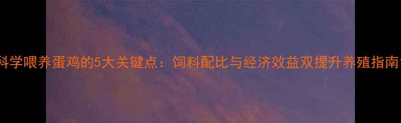 图片 科学喂养蛋鸡的5大关键点：饲料配比与经济效益双提升养殖指南1