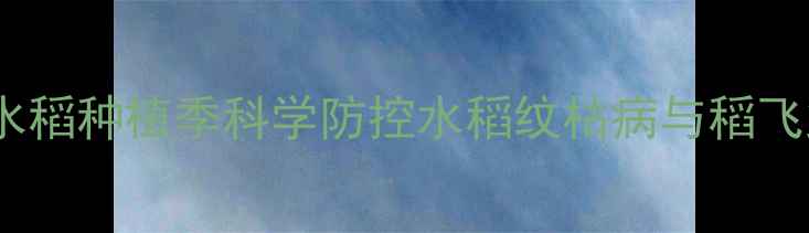 图片 稻瑞达农药：水稻种植季科学防控水稻纹枯病与稻飞虱的优选方案1