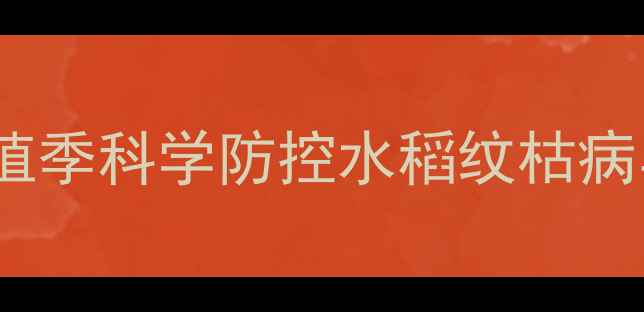 图片 稻瑞达农药：水稻种植季科学防控水稻纹枯病与稻飞虱的优选方案2