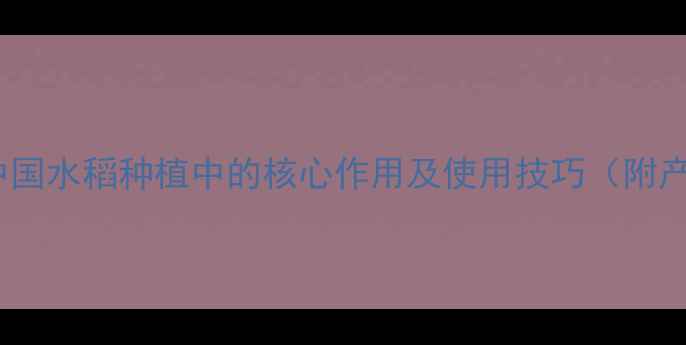 图片 稻田盛夫农药在中国水稻种植中的核心作用及使用技巧（附产品特性与案例）1