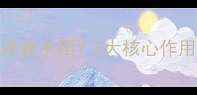 图片 稻黄金农药如何拯救水稻？3大核心作用+使用技巧全！1