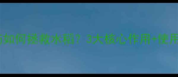 图片 稻黄金农药如何拯救水稻？3大核心作用+使用技巧全！2