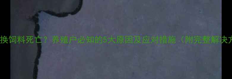 图片 羊突然换饲料死亡？养殖户必知的5大原因及应对措施（附完整解决方案）2