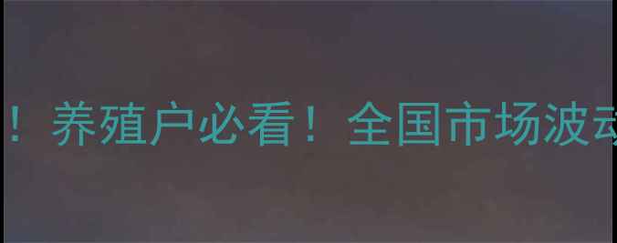 图片 羊肉价格走势预测！养殖户必看！全国市场波动分析+应对策略全