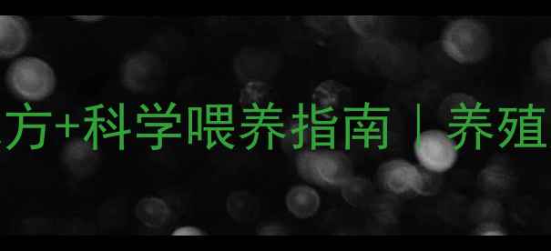 图片 肉兔高效增重饲料配方+科学喂养指南｜养殖户必看快速出栏秘籍