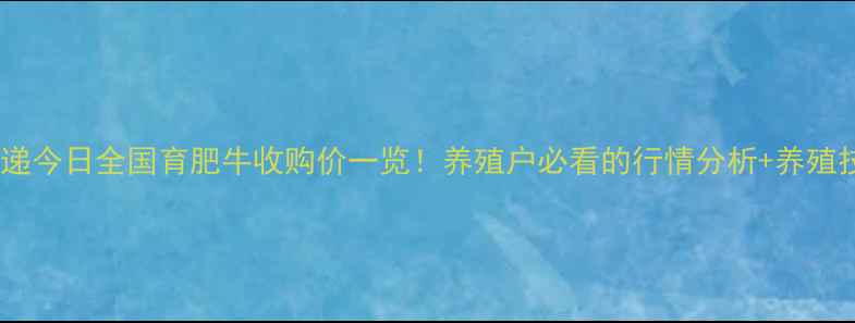 图片 育肥牛价格速递今日全国育肥牛收购价一览！养殖户必看的行情分析+养殖技巧，速看！1