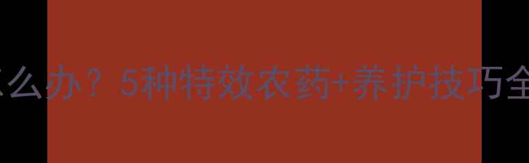 图片 脐橙果实拉长畸形怎么办？5种特效农药+养护技巧全（附用药时间表）2