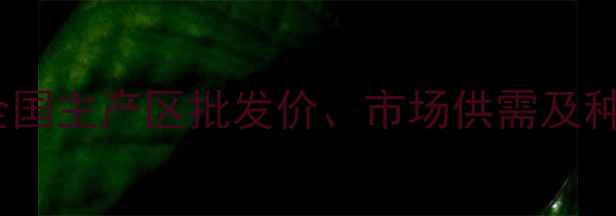 图片 花生价格行情深度：全国主产区批发价、市场供需及种植户应对策略全指南2