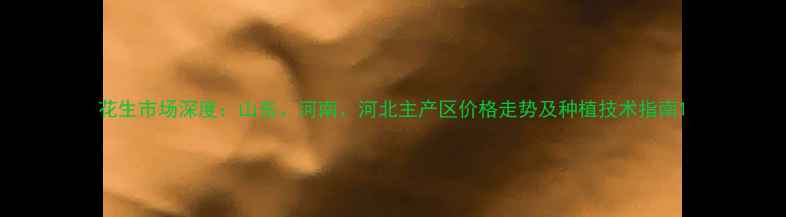 图片 花生市场深度：山东、河南、河北主产区价格走势及种植技术指南1