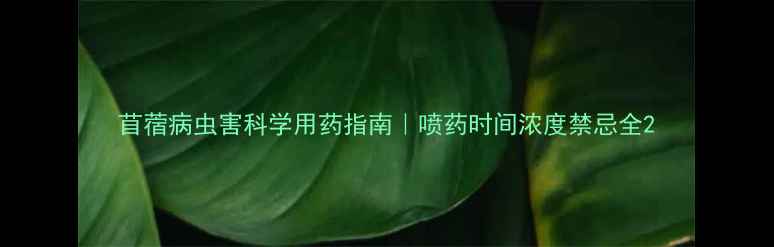 图片 苜蓿病虫害科学用药指南｜喷药时间浓度禁忌全2