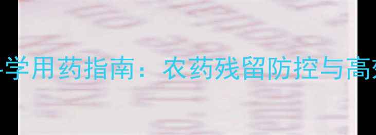 图片 茴香菜科学用药指南：农药残留防控与高效种植全