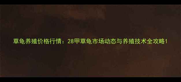 图片 草龟养殖价格行情：28甲草龟市场动态与养殖技术全攻略1