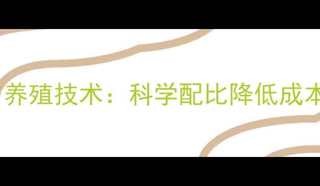 图片 虾干饲料高效配方与养殖技术：科学配比降低成本提升水产养殖效益1