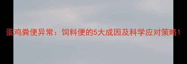 图片 蛋鸡粪便异常：饲料便的5大成因及科学应对策略1