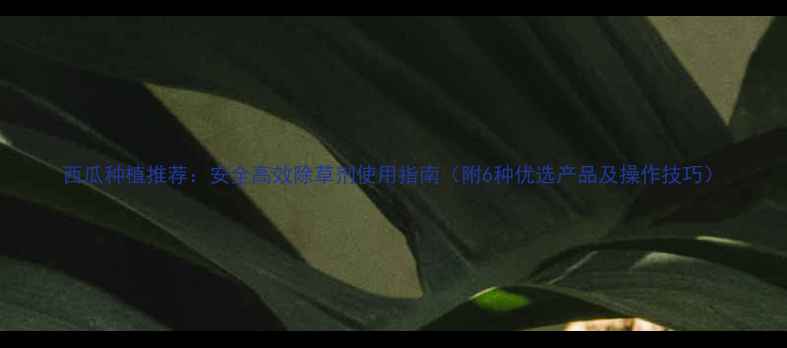 图片 西瓜种植推荐：安全高效除草剂使用指南（附6种优选产品及操作技巧）