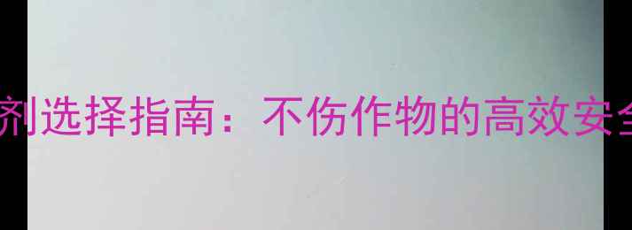 图片 谷子田除草剂选择指南：不伤作物的高效安全用药方案1